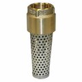 Merrill Mfg Foot Valve 1 in. Brass N.L FVNL100